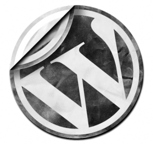 Logo Design Nashville on Nashville Designz Now Offers Wordpress Support  You Have A Few Options